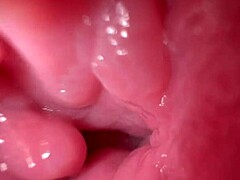 Uma adolescente amadora abre sua vagina molhada
