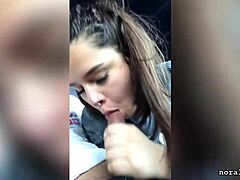 Cute Latina girlfriend gives a car blowjob