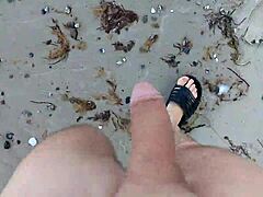 Desnudez pública en la playa